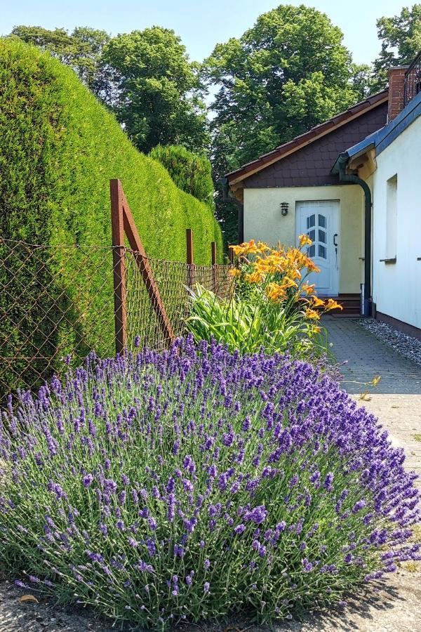 Fewo Albrecht In Metschow Borrentin Luaran gambar